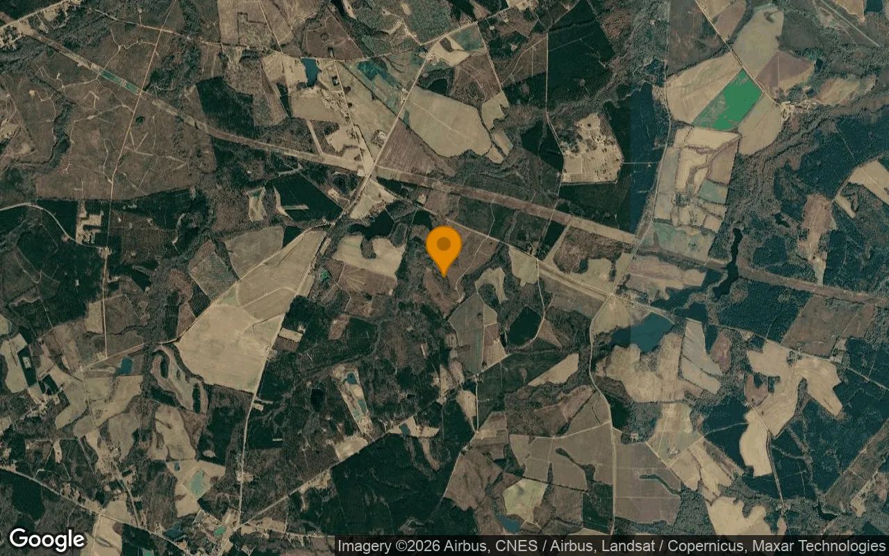 125.06 Acres in Davisboro - Washington County, GA in Washington County, Georgia