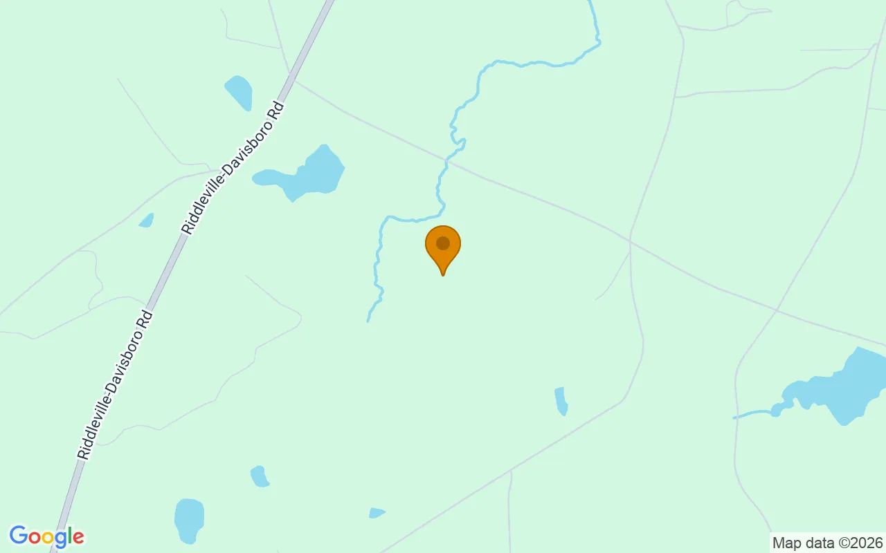 125.06 Acres in Davisboro - Washington County, GA in Washington County, Georgia