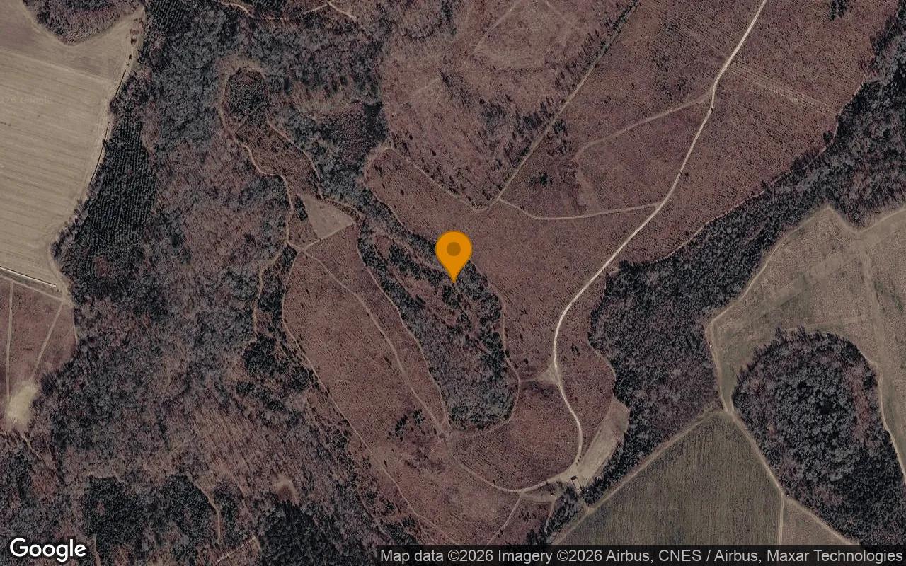 Decorative background for 125.06 Acres in Davisboro - Washington County, GA image 6