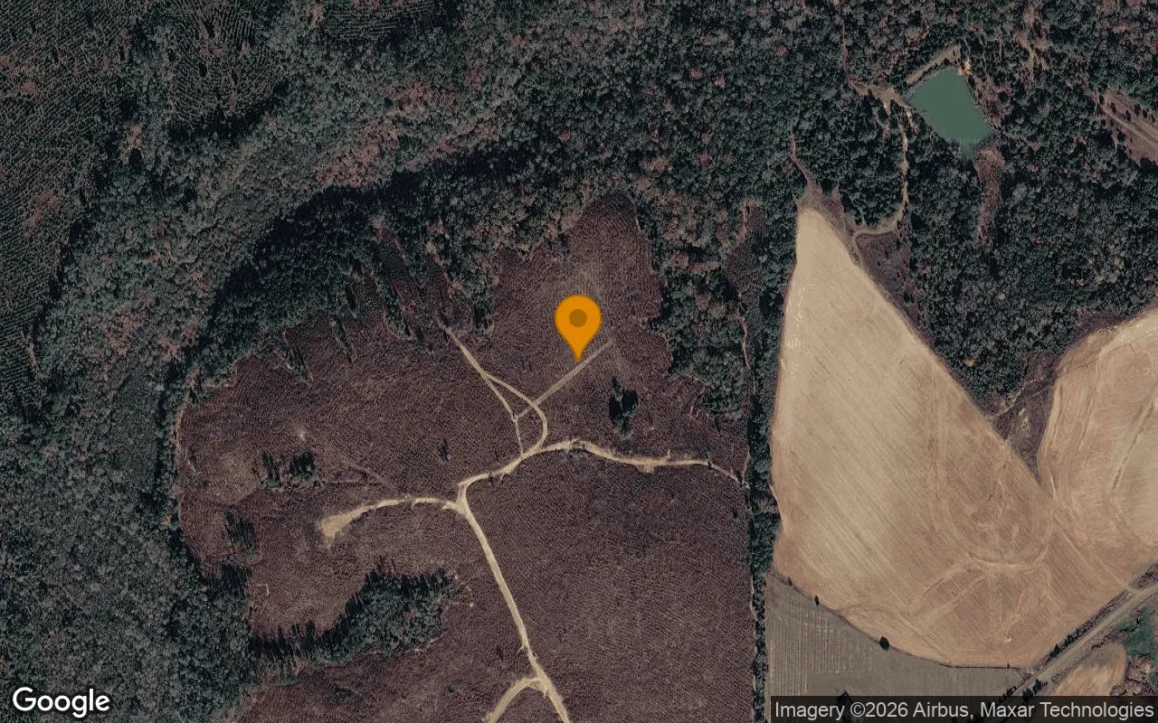 124.01 Acres in Preston - Webster County, GA in Webster County, Georgia