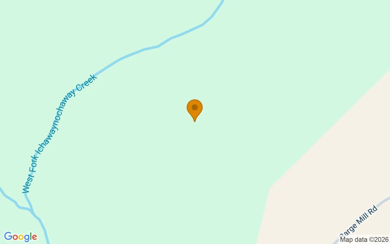 124.01 Acres in Preston - Webster County, GA in Webster County, Georgia