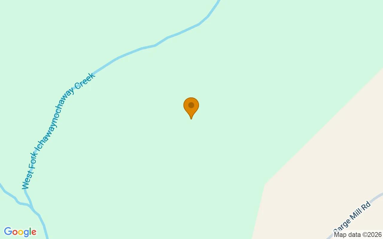 124.01 Acres in Preston - Webster County, GA - Image 2
