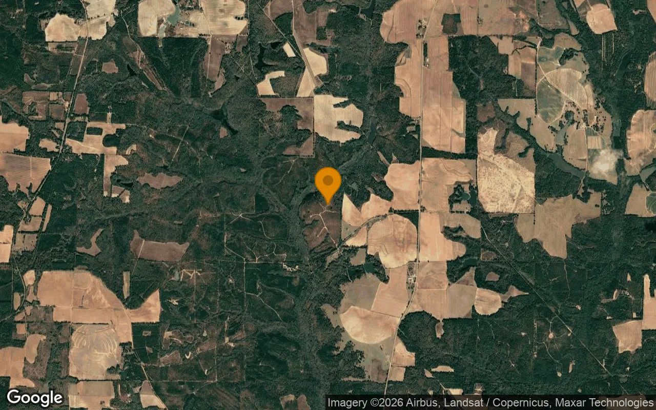 124.01 Acres in Preston - Webster County, GA in Webster County, Georgia