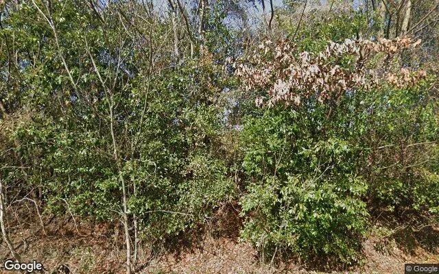 124.01 Acres in Preston - Webster County, GA in Webster County, Georgia