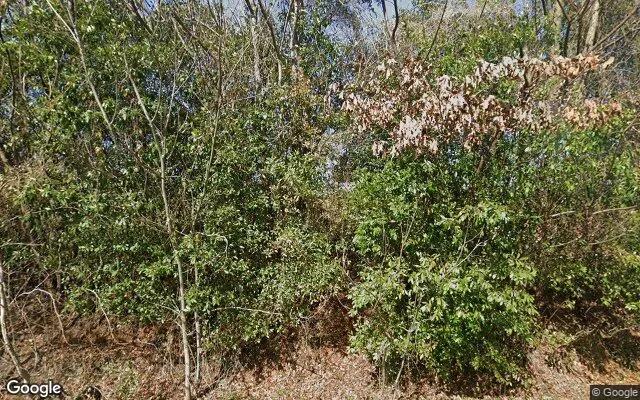 124.01 Acres in Preston - Webster County, GA - Image 4