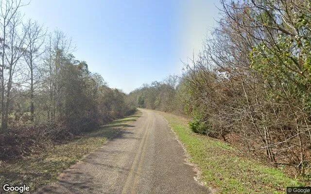 Decorative background for 124.01 Acres in Preston - Webster County, GA image 5