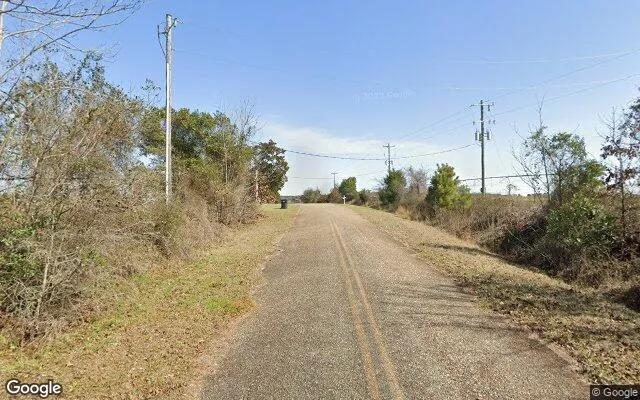 Decorative background for 124.01 Acres in Preston - Webster County, GA image 6
