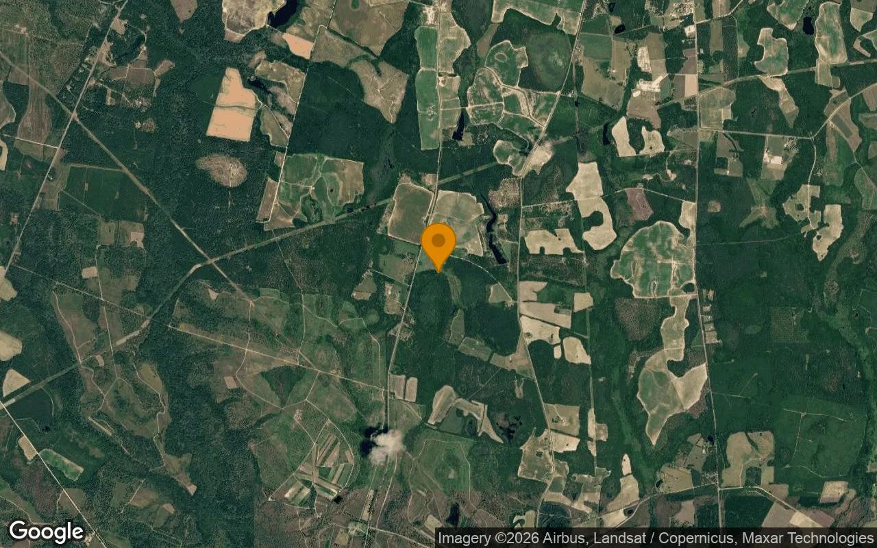 124.74 Acres in Waynesboro - Burke County, GA in Burke County, Georgia