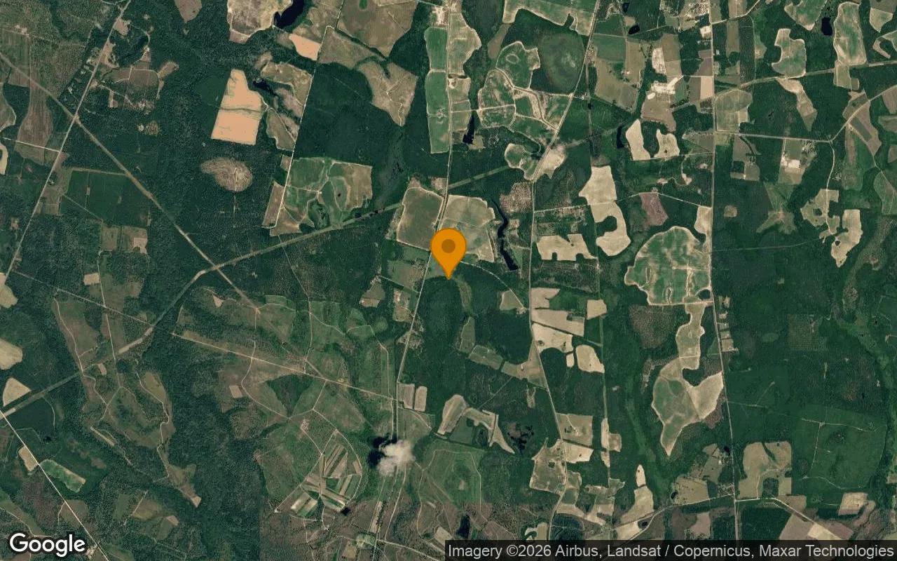 124.74 Acres in Waynesboro - Burke County, GA - Image 3
