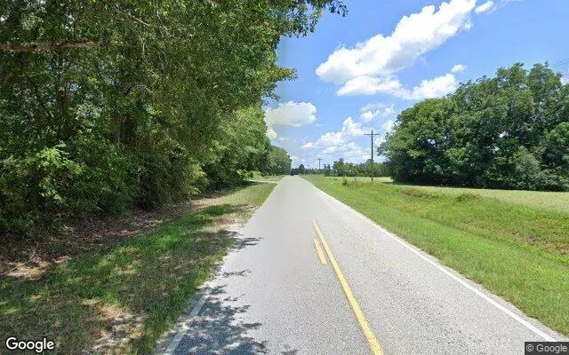 Decorative background for 124.74 Acres in Waynesboro - Burke County, GA image 5
