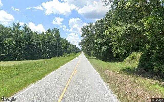 Decorative background for 124.74 Acres in Waynesboro - Burke County, GA image 6