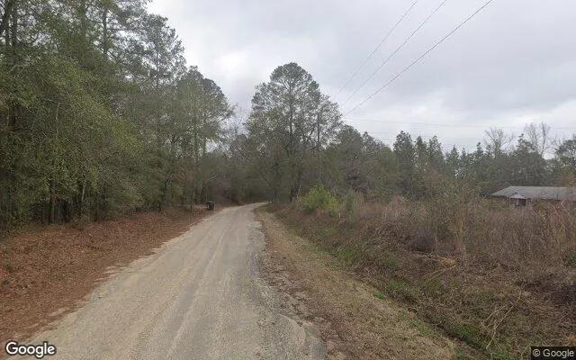 Decorative background for 0.55 Acres in Augusta - Richmond County, GA image 6