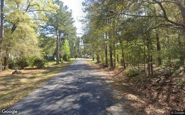 Decorative background for 0.45 Acres in Whigham - Grady County, GA image 5