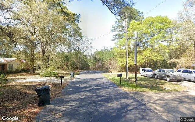 Decorative background for 0.45 Acres in Whigham - Grady County, GA image 6
