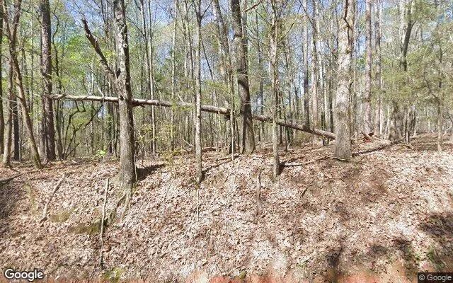 0.46 Acres in Haddock - Jones County, GA - Image 4