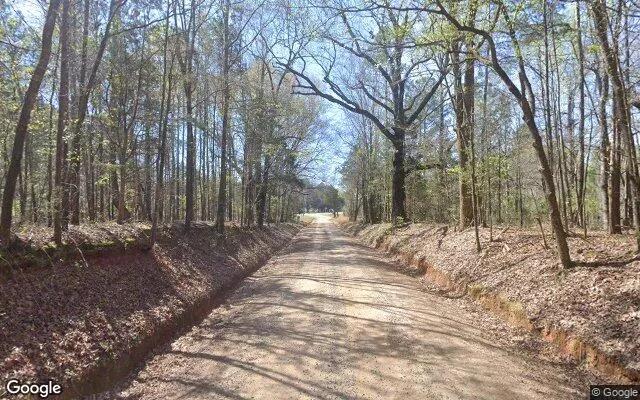 Decorative background for 0.46 Acres in Haddock - Jones County, GA image 5