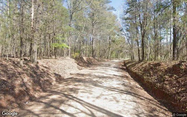 Decorative background for 0.46 Acres in Haddock - Jones County, GA image 6