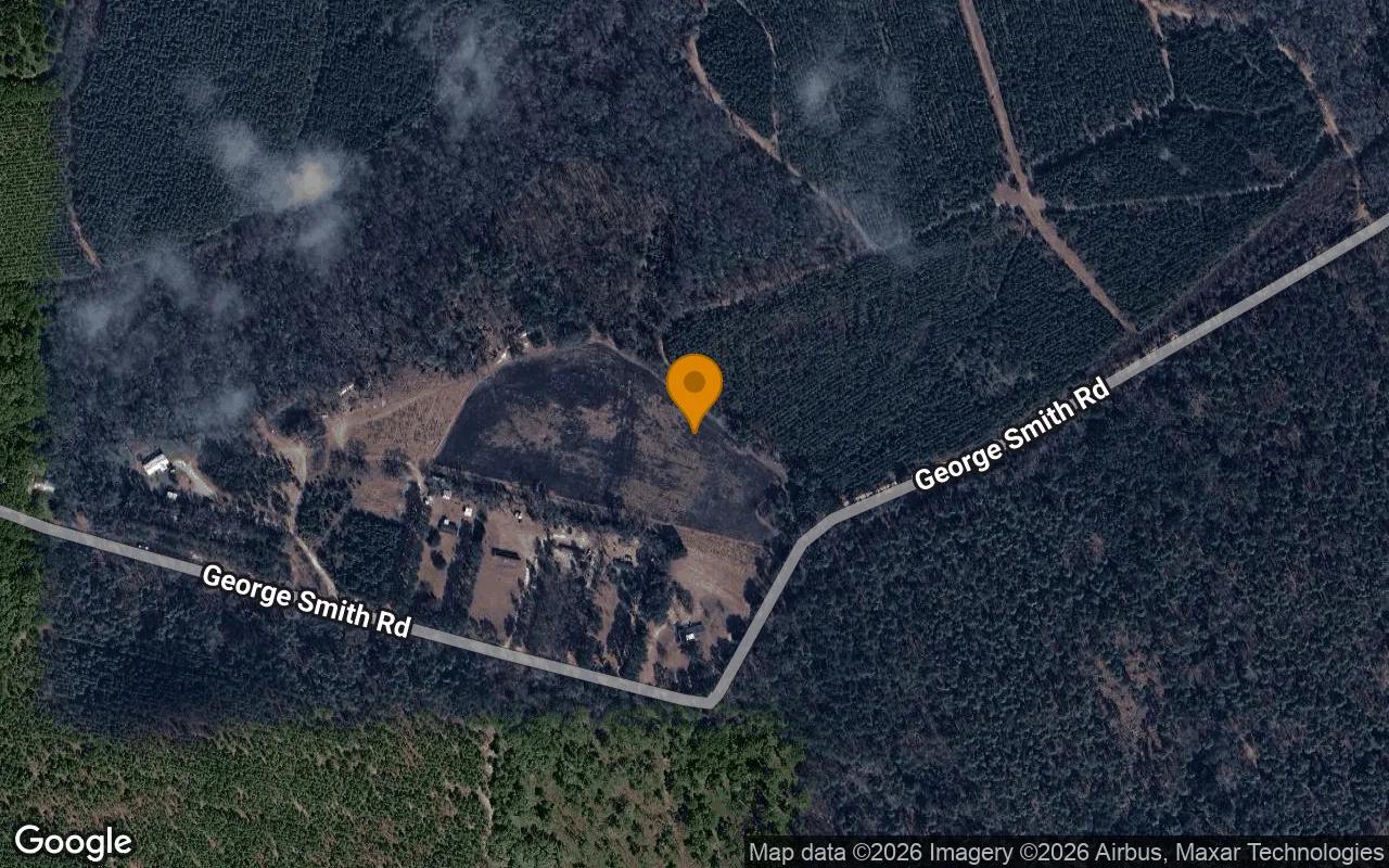 Decorative background for 3.51 Acres in Claxton - Evans County, GA image 6