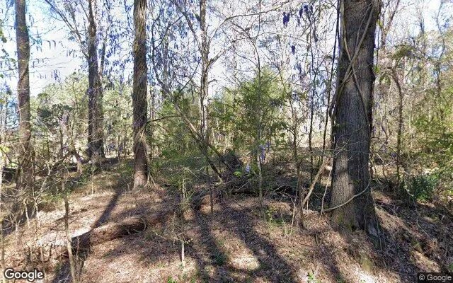 0.37 Acres in Luthersville - Meriwether County, GA in Meriwether County, Georgia