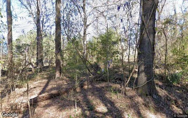 0.37 Acres in Luthersville - Meriwether County, GA - Image 4