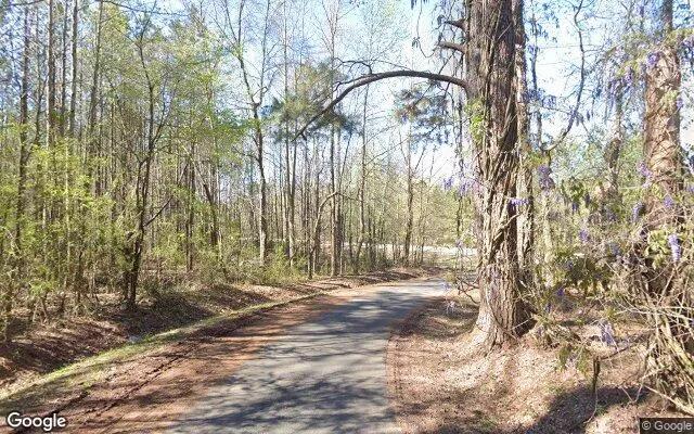 Decorative background for 0.37 Acres in Luthersville - Meriwether County, GA image 5