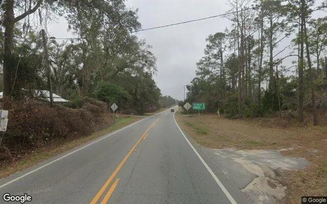 Decorative background for 3.4 Acres in Statenville - Echols County, GA image 5