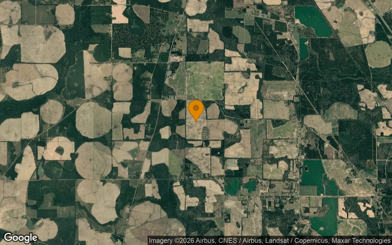 124.64 Acres in Mitchell - Mitchell County, GA in Mitchell County, Georgia