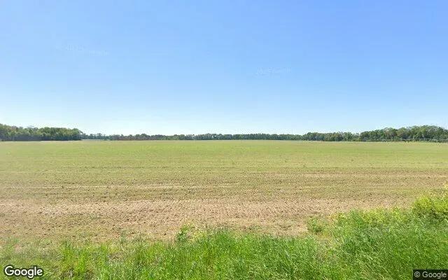 124.64 Acres in Mitchell - Mitchell County, GA - Image 4