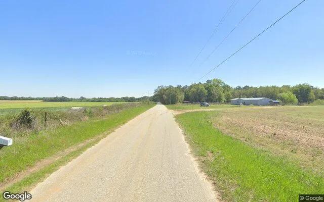 Decorative background for 124.64 Acres in Mitchell - Mitchell County, GA image 5