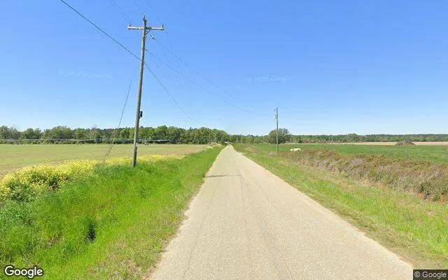 Decorative background for 124.64 Acres in Mitchell - Mitchell County, GA image 6