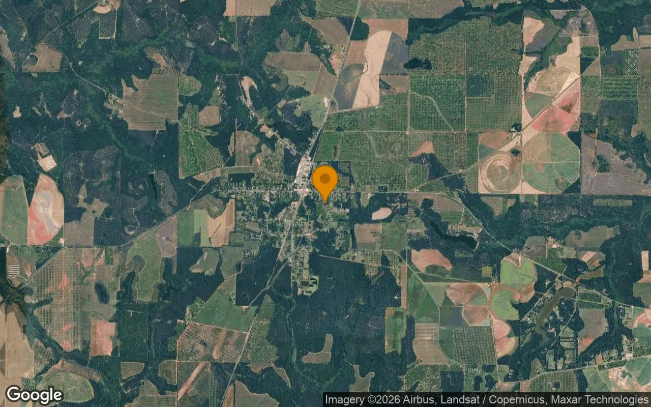 1.11 Acres in Marshallville - Macon County, GA in Macon County, Georgia