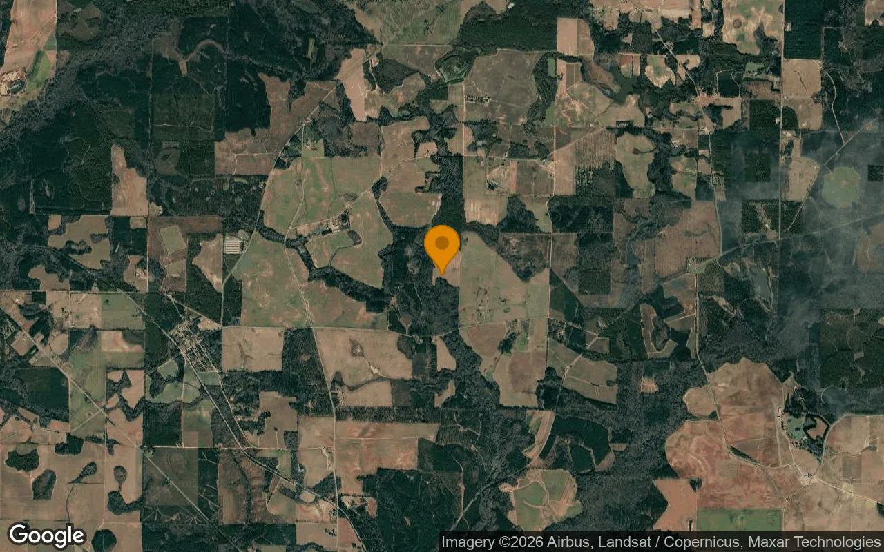 125 Acres in Byromville - Dooly County, GA in Dooly County, Georgia
