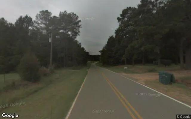 Decorative background for 125 Acres in Byromville - Dooly County, GA image 5