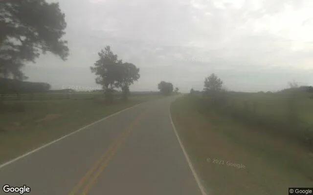 Decorative background for 125 Acres in Byromville - Dooly County, GA image 6