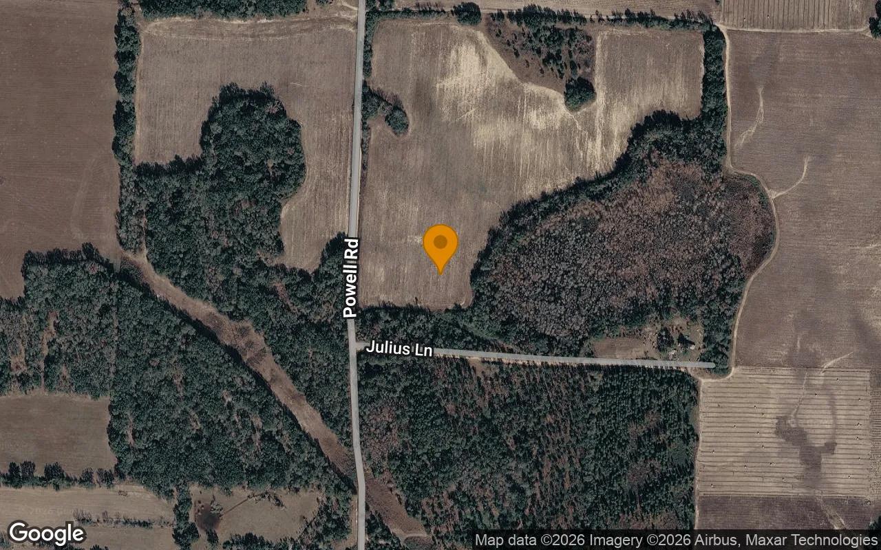 Decorative background for 14.95 Acres in Blakely - Early County, GA image 6