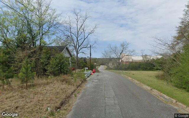 Decorative background for 0.55 Acres in Macon - Bibb County, GA image 5