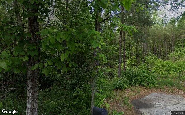 Decorative background for 1.5 Acres in Newnan - Coweta County, GA image 6