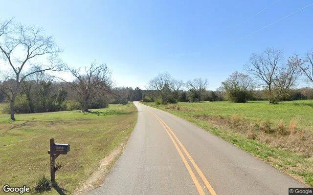 Decorative background for 35.01 Acres in Dewy Rose - Elbert County, GA image 5
