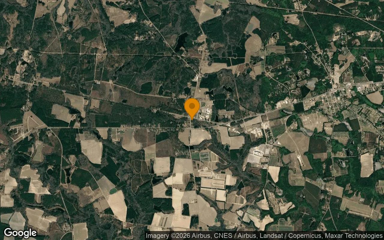 0.33 Acres in Bellville - Evans County, GA - Image 3