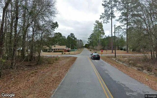 Decorative background for 0.55 Acres in Mount Vernon - Montgomery County, GA image 6