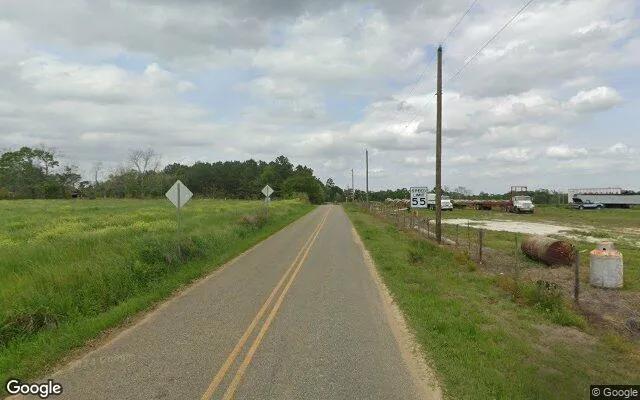 Decorative background for 34.88 Acres in Ochlocknee - Grady County, GA image 6
