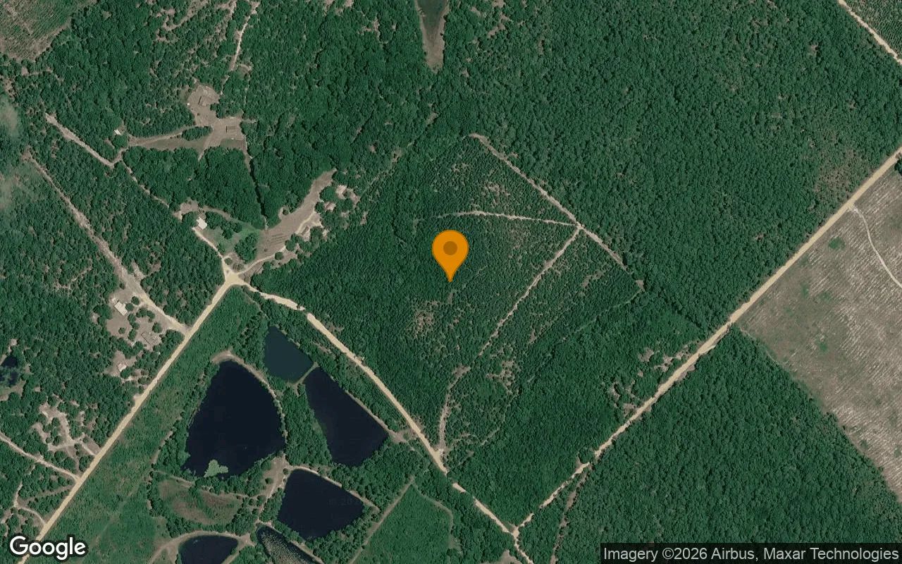 35.03 Acres in Helena - Telfair County, GA in Telfair County, Georgia