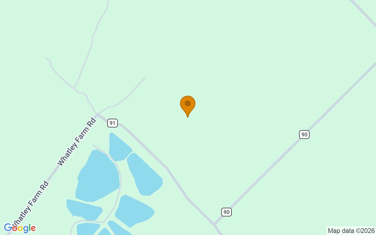 35.03 Acres in Helena - Telfair County, GA in Telfair County, Georgia