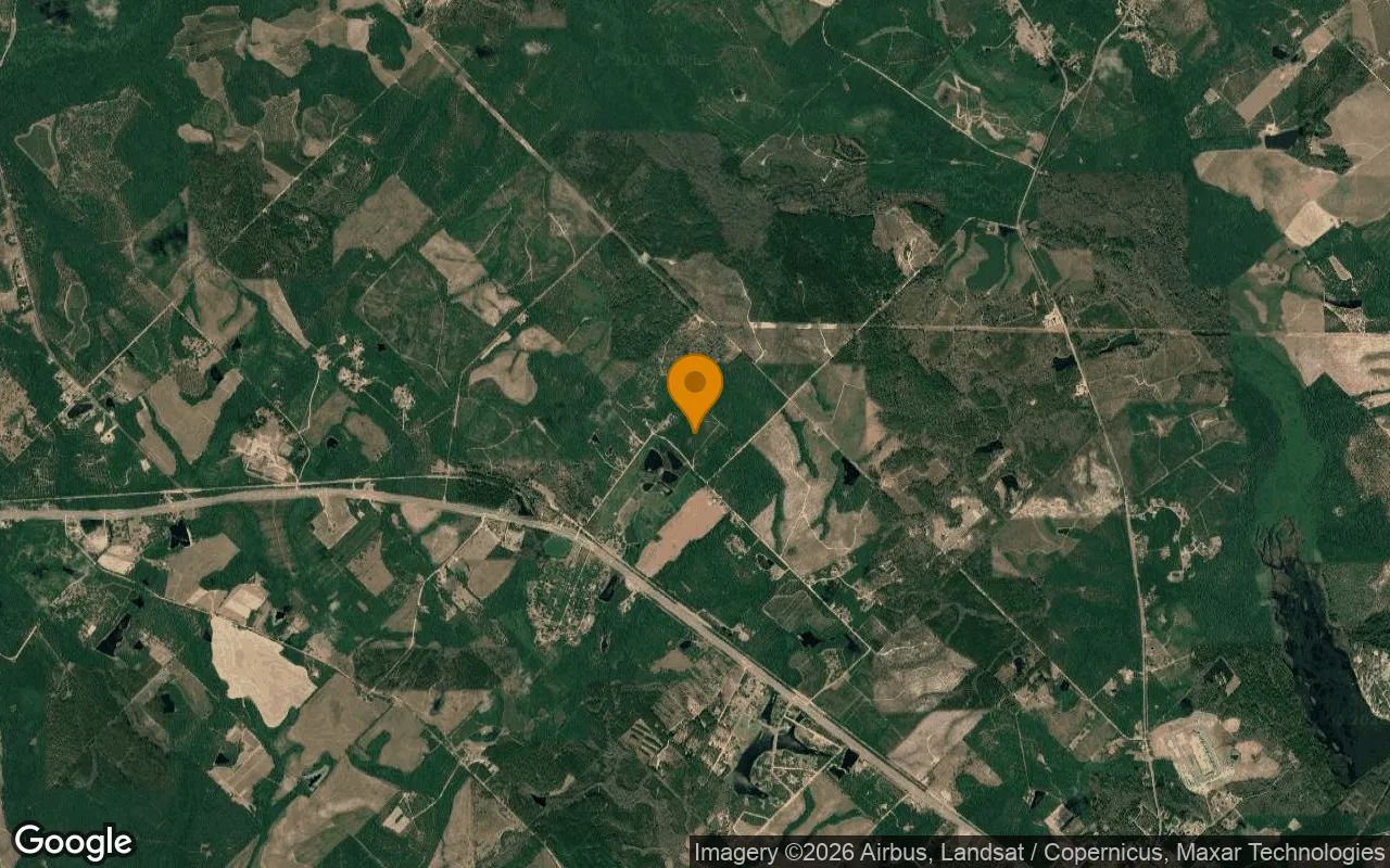 35.03 Acres in Helena - Telfair County, GA in Telfair County, Georgia