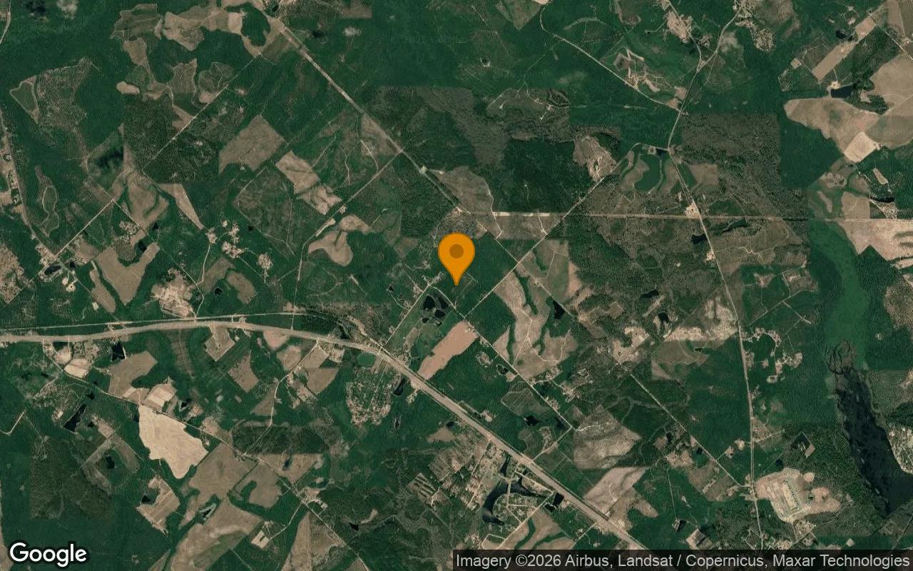 35.03 Acres in Helena - Telfair County, GA - Image 3