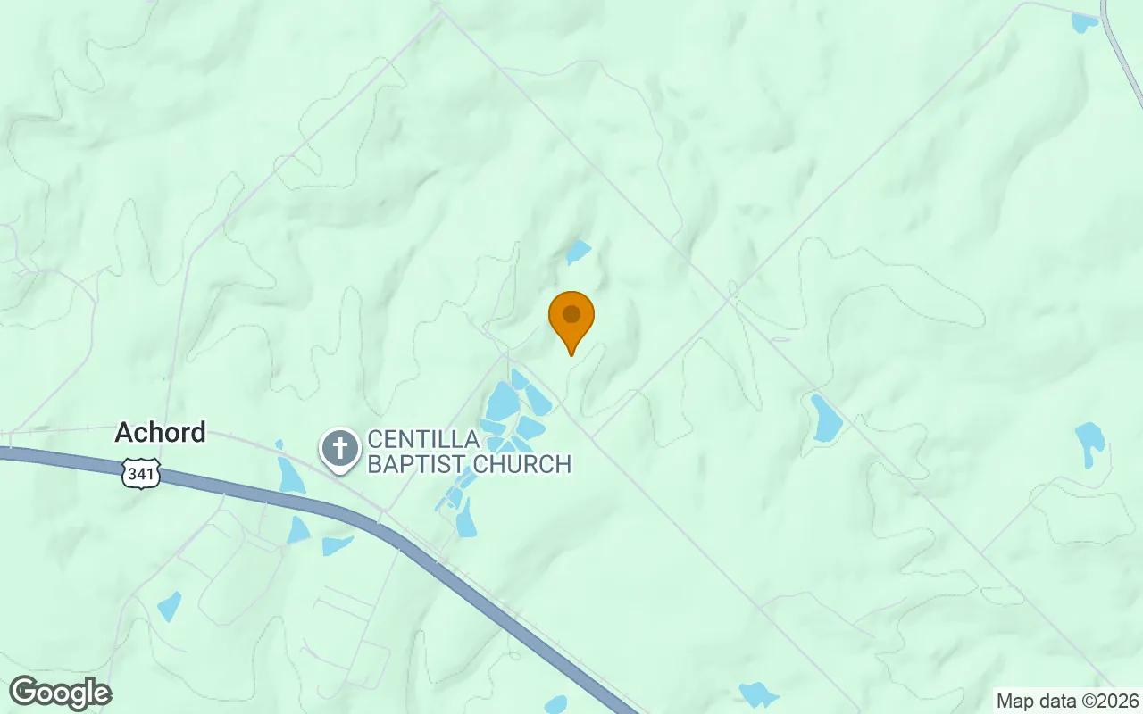 Decorative background for 35.03 Acres in Helena - Telfair County, GA image 5