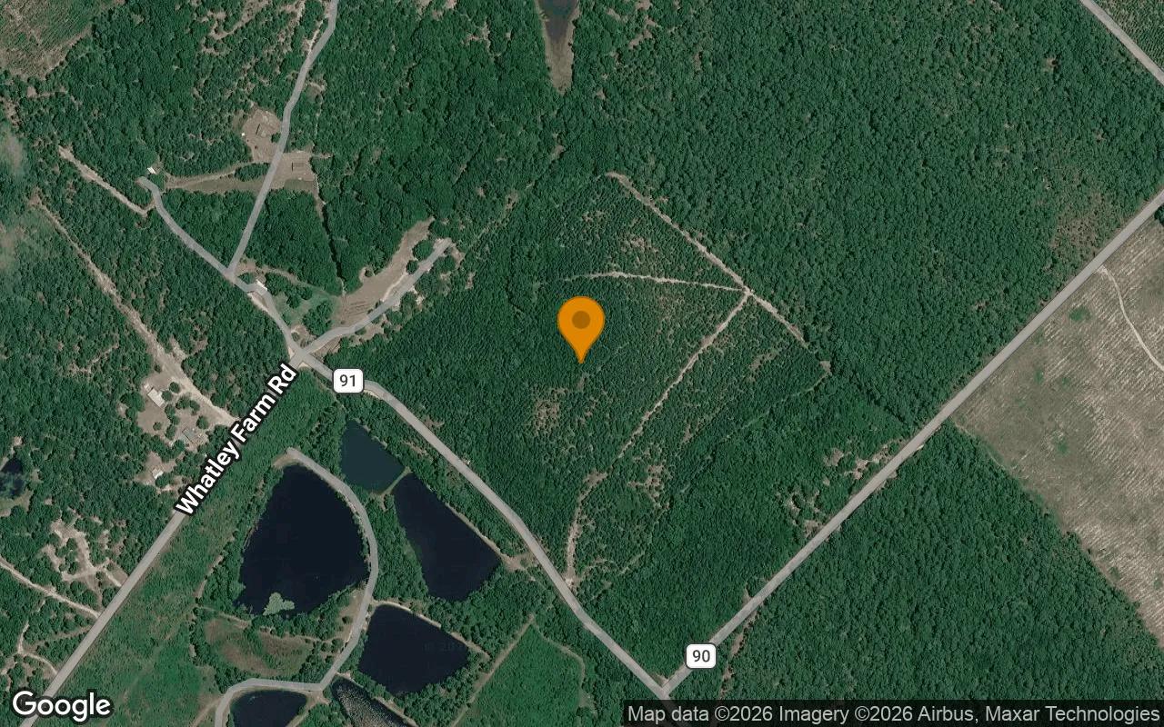 Decorative background for 35.03 Acres in Helena - Telfair County, GA image 6