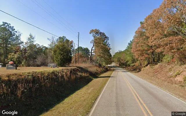 Decorative background for 0.55 Acres in West Point - Harris County, GA image 5