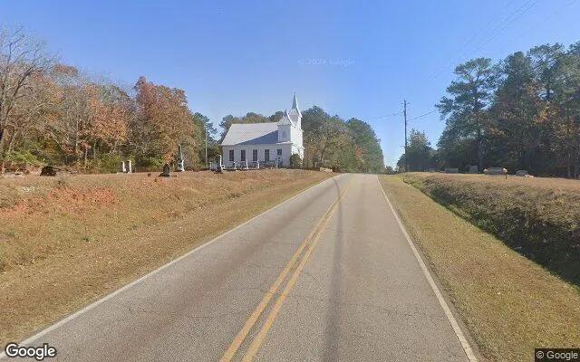 Decorative background for 0.55 Acres in West Point - Harris County, GA image 6