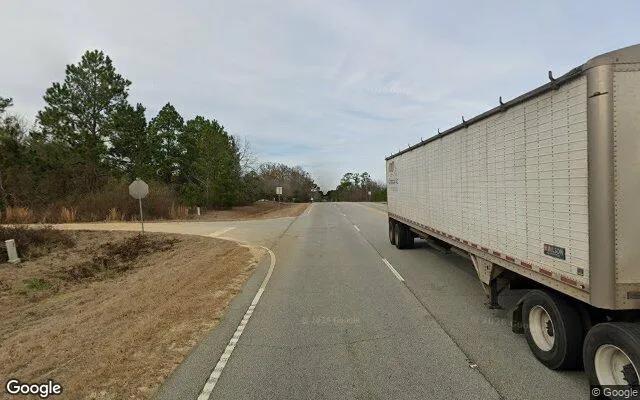 Decorative background for 75.01 Acres in Soperton - Treutlen County, GA image 5